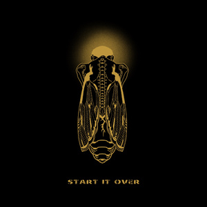 胖子男和胖熊Gay片
